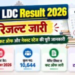 RSSB LDC Result 2026 जारी: रिजल्ट, Merit List, Cut Off और Next Stage की पूरी जानकारी